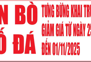 công ty tnhh một thành viên thiết kế nhật tân - kd