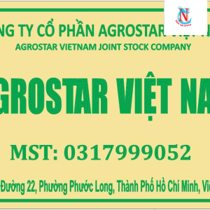 công ty tnhh một thành viên thiết kế nhật tân - kd